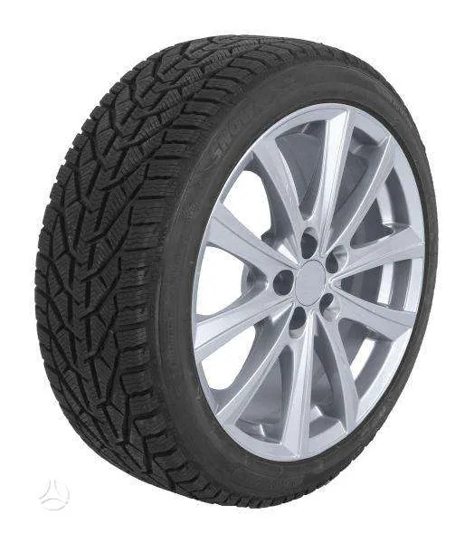 Snow 95T XL 195/65 R15